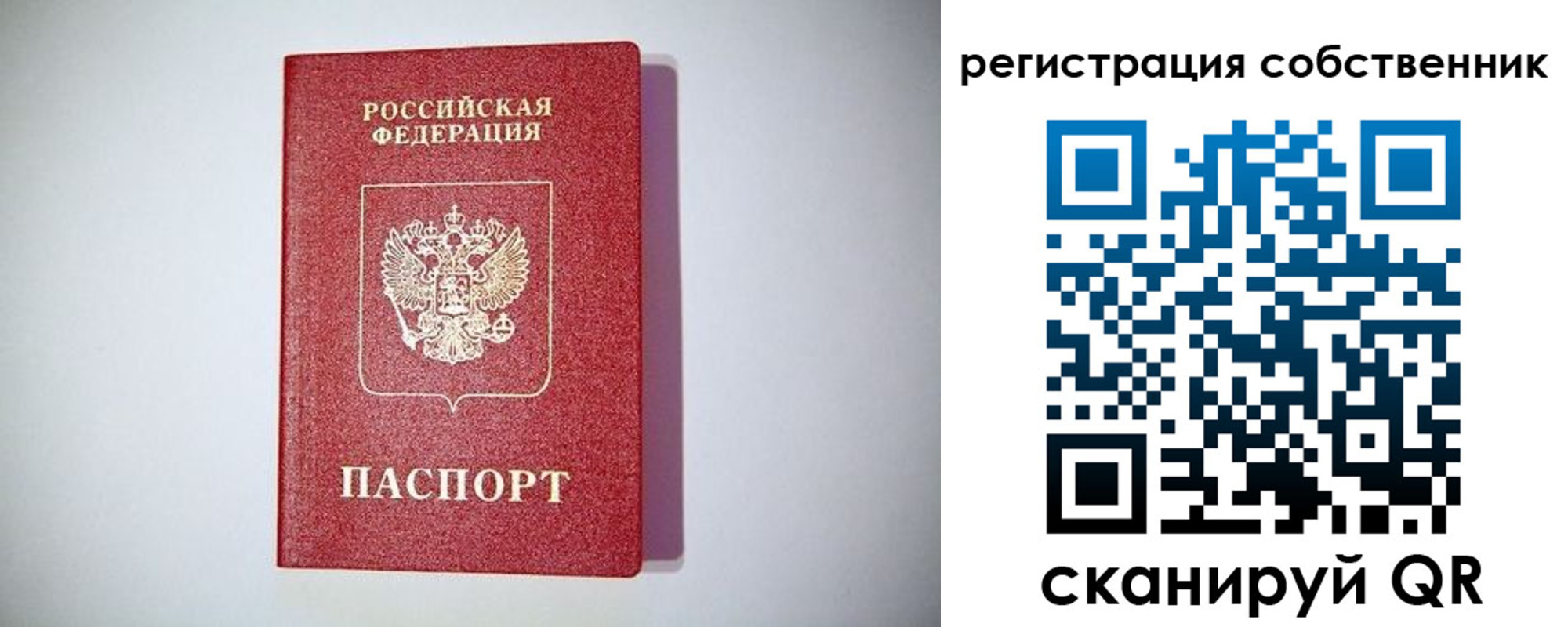 временная регистрация для школы в Щиграх